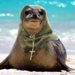 MonkSeal.jpg