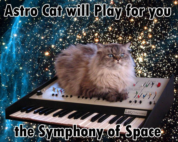 Astrocat.jpg