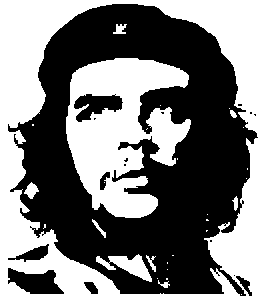 File:Che3.gif