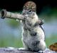 Army Squirrel-1-.jpg