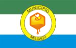 Bandeira de Melgaço.png