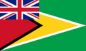 Bandeira da Guiana