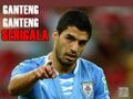 Suarez ganteng-ganteng serigala.jpg