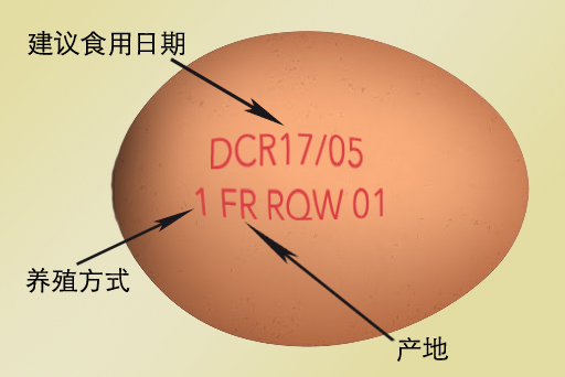 法国鸡蛋代码