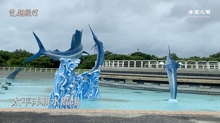 爱.趣旅行 －国立海洋生物博物馆太平洋亲水广场