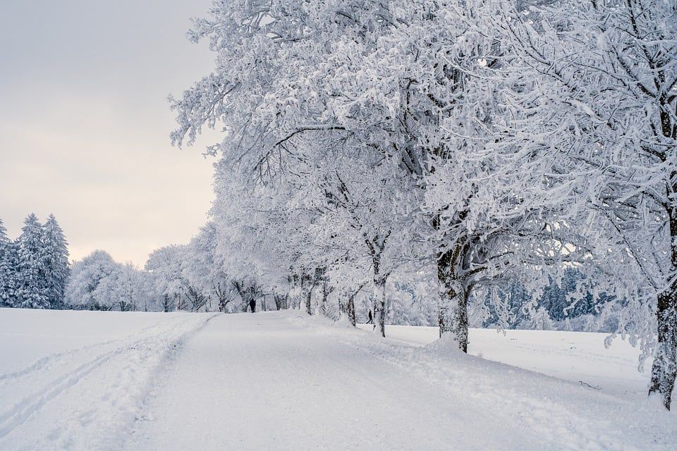 过节期间比利时华人家庭团聚一日游：看雪景、尝美食、去购物