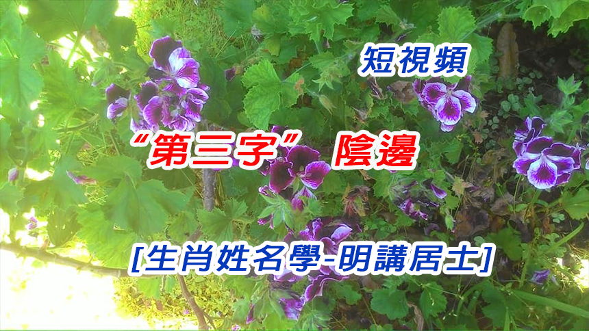 「短视频53」～名字第三字解析【生肖姓名学】第53集