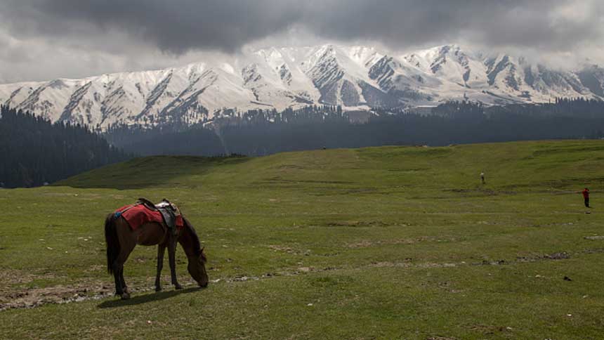 古尔马尔格（Gulmarg）位于喜马拉雅山西部 （图片：Yawar Nazir/Getty Images)