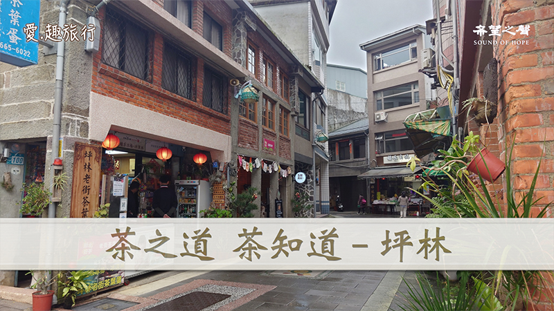 【爱.趣旅行】茶之道，茶知道～台湾新北市坪林区