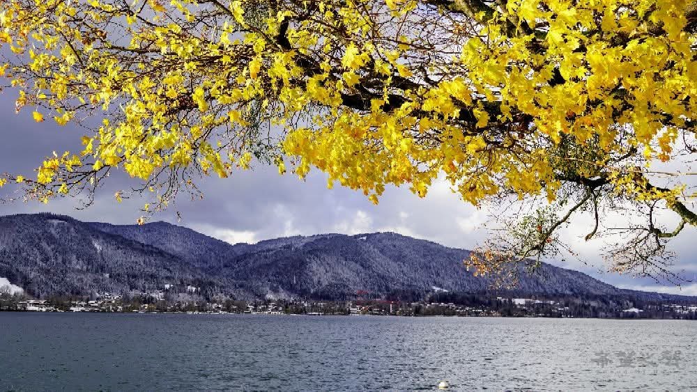 德國的高山湖泊泰根湖(Tegernsee) 德國 湖泊 高山 阿爾卑斯山 旅遊