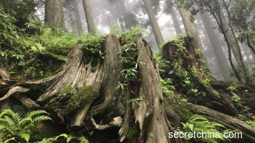 雨中的比叡山