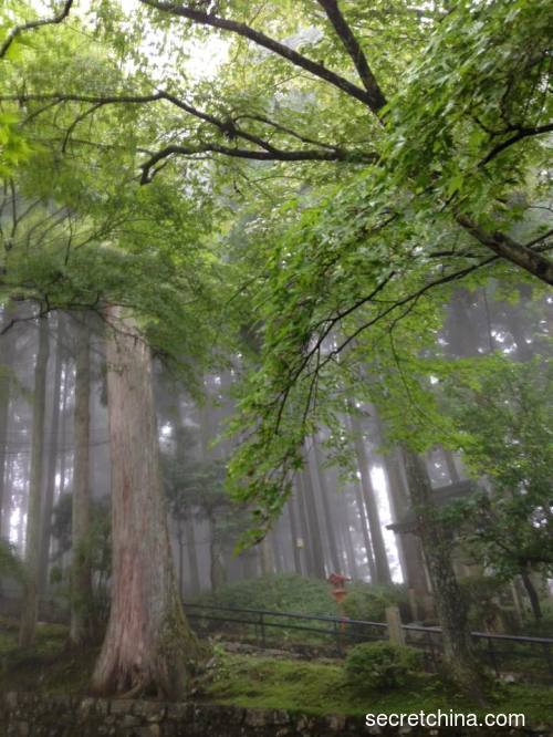 雨中的比叡山山麓，如诗如画。（摄影：贯明/看中国）