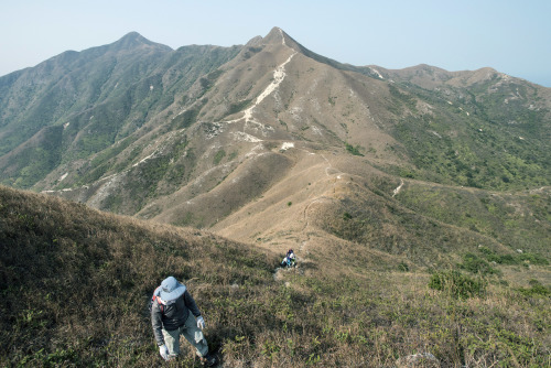 香港郊野公园