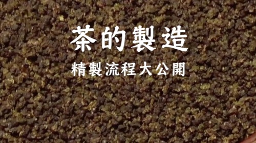 茶有分粗、細？茶的精製流程大公開！