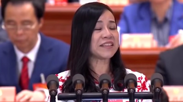 凌友诗在中共两会上发表“热切期盼统一”演说