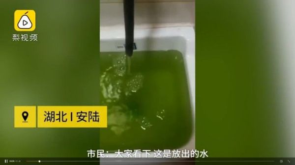 湖北自来水出现绿色水源