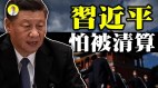 中共陷入死局习怕下台遭清算(视频)