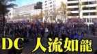 华盛顿DC支持川普集会游行人流如龙(视频)