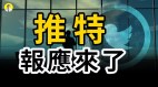 推特在海外遭遇不公要人权要言论自由股价暴跌(视频)