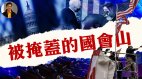 【东方纵横】被掩盖的国会山(视频)