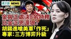 胡锡进呛美军在台；比金正恩还狠金与正处决8名特务(视频)