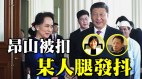 唐柏桥：缅甸政变昂山被扣某人腿发抖(视频)