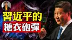 【东方纵横】习近平的糖衣炮弹(视频)