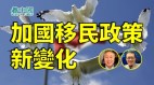 【澳港看天下】加国移民政策新变化中共现在如当年纳粹崛起(视频)