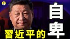 平视世界习近平的“卑”与“悲”(视频)