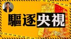 【东方纵横】驱逐央视(视频)