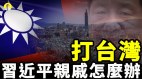 打台灣中共高官和習近平臺灣親戚怎麼辦(視頻)