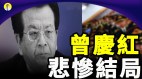 前无古人后无来者的奸臣－曾庆红(视频)