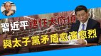 “刀刃向内”锁定非政治组织 权斗热闹大戏开场啦(图)