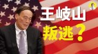 大戏上演王岐山叛逃真相他的目的是什么(视频)