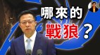 【东方纵横】哪来的战狼(视频)