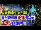 “佛法难闻人身难得”人身难得竟要经历840万次生死(视频)