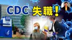 【东方纵横】美国疾病防治中心失职(视频)