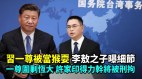 习一尊被当猴耍李敖之子曝细节一尊围剿恒大(视频)