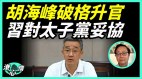 “红”情汹涌习耍变色龙本色破格让胡海峰升官(视频)