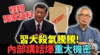 习杀气腾腾内部讲话爆重大机密中国大倒退腥风血雨起(视频)