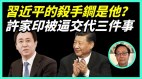 习近平的杀手锏是他许家印被逼交代三件事(视频)