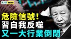 习此举恐物极必反；四地金交所被关中产大返贫(视频)