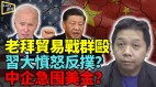 西方围剿习震怒反扑人民币贬值中企急囤美元(视频)