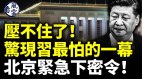 清明节惊现习最怕的一幕急下密令专家赞台湾3事(视频)