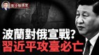 波蘭對俄宣戰在烏克蘭上空攔截俄羅斯導彈(視頻)