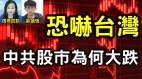 北京将中国金融系统拉入火坑台湾掌握世界发展命脉(视频)