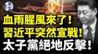 習近平突然宣戰太子黨絕地反擊(視頻)