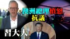 危险澳军机险遭共机照明弹击中总理愤怒向习抗议(视频)