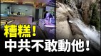 廣西四川暴雨來襲吹爆玻璃門馬路變汪洋大樹連根拔起(視頻)