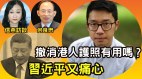 撤销移英抗争人士护照港府打压行动恐引反效果(视频)